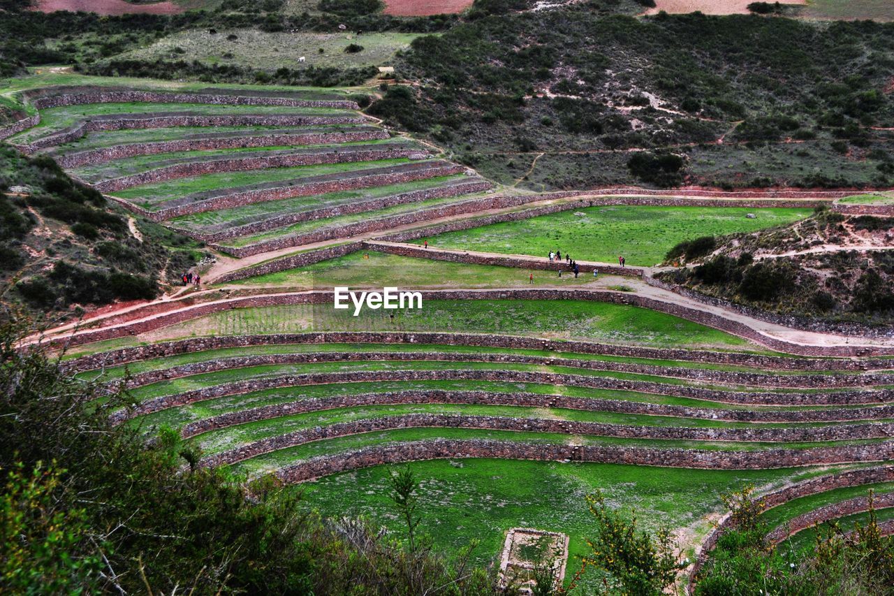 High angle view of agricultural field