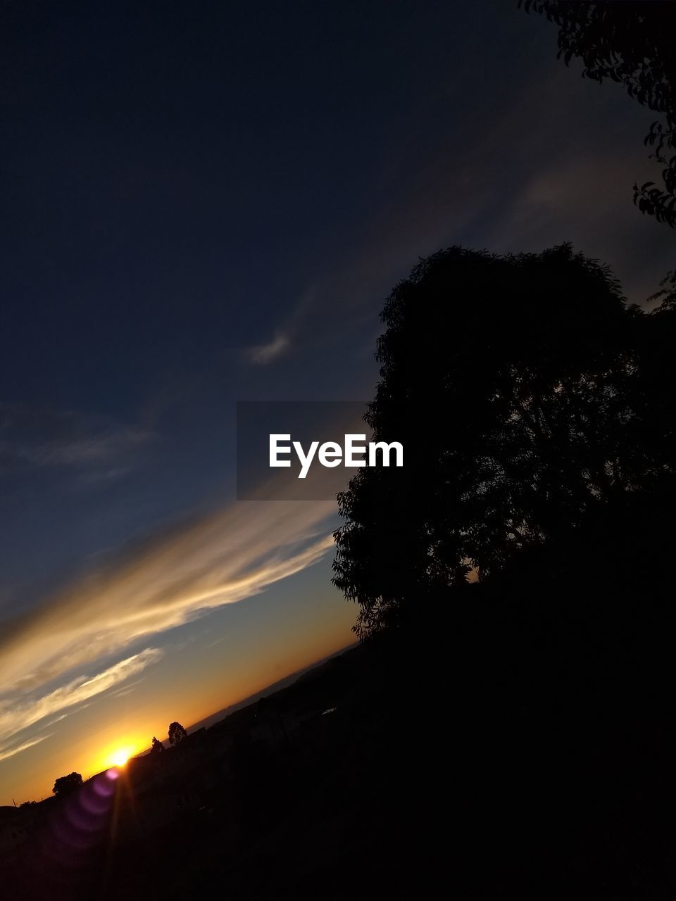 LOW ANGLE VIEW OF SILHOUETTE TREES AGAINST SKY