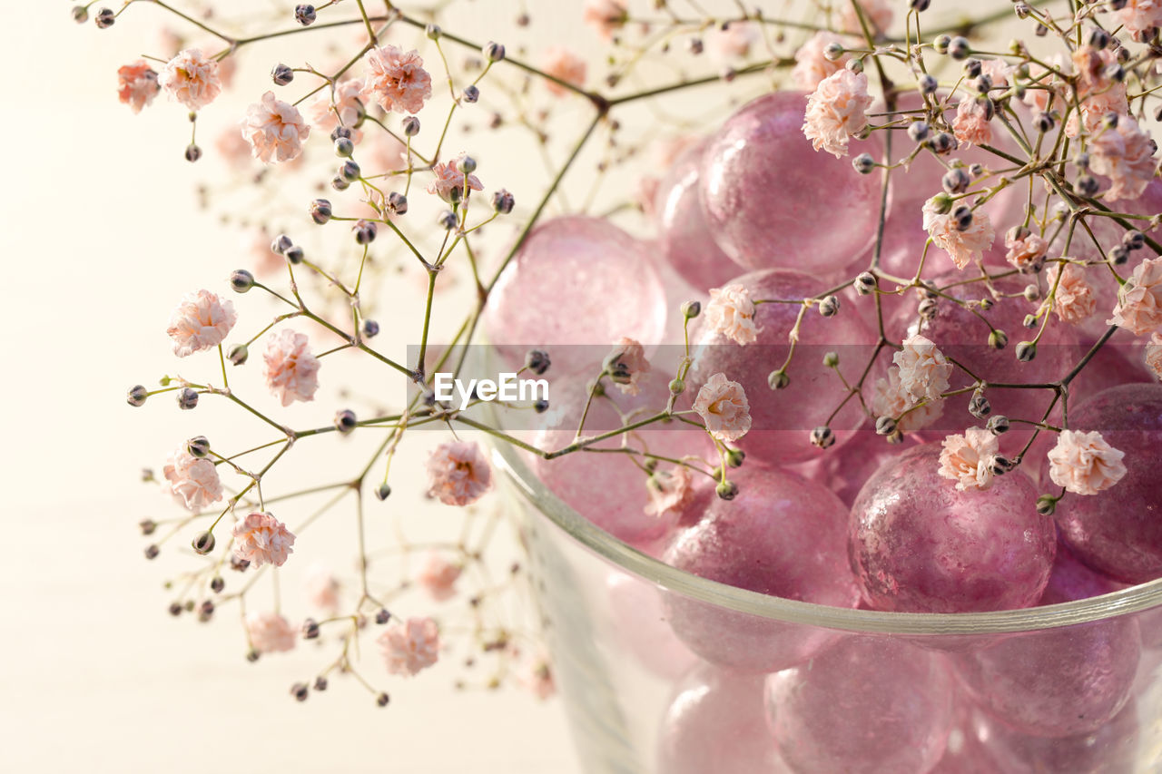 CLOSE-UP OF PINK CHERRY BLOSSOMS IN GLASS