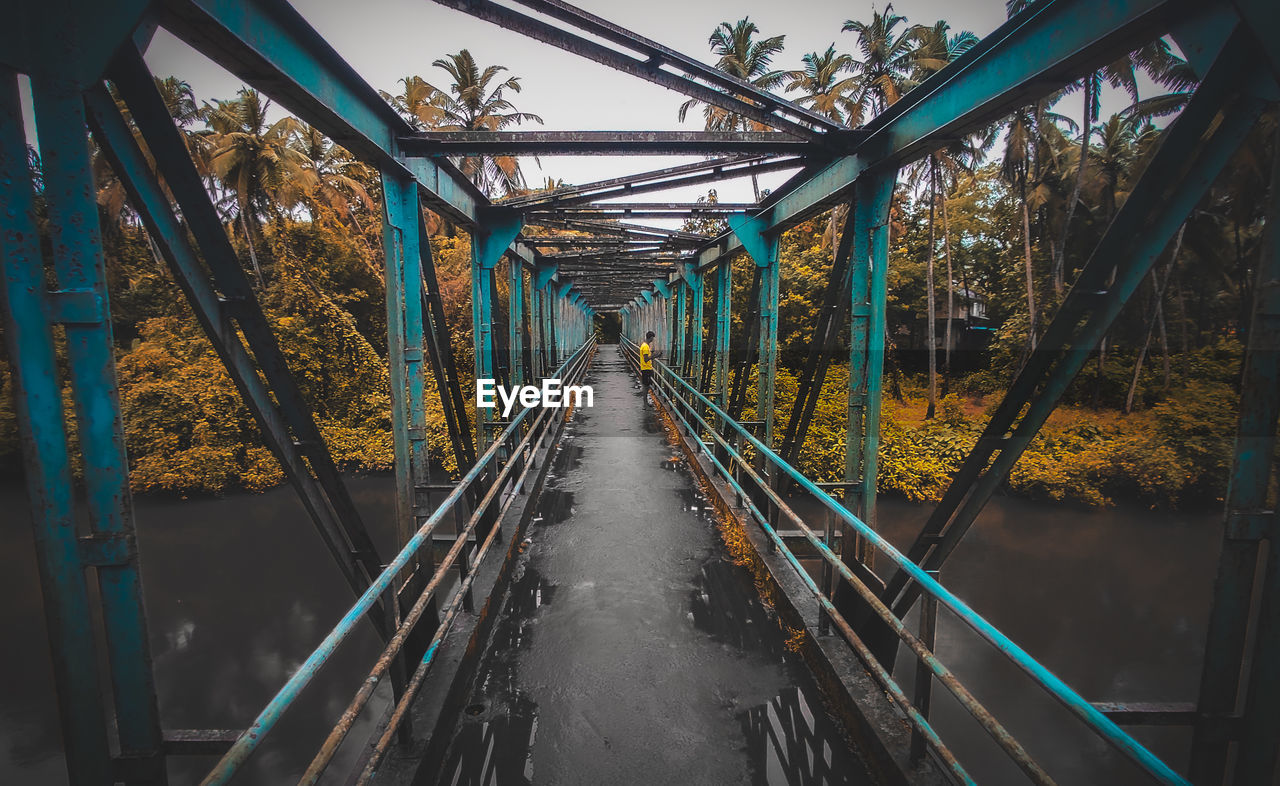 Bridge amidst trees