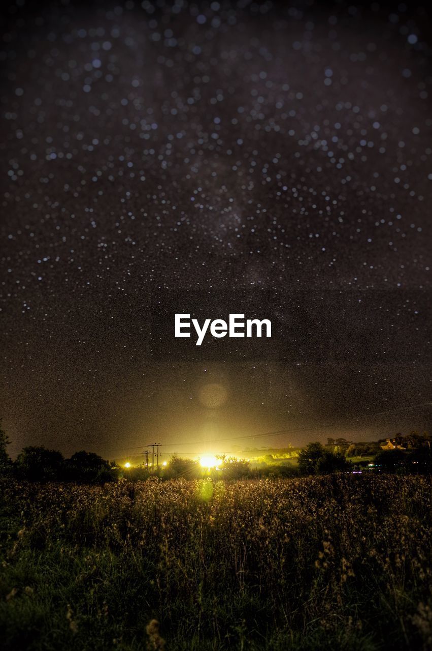 Plants growing on field against star field at night