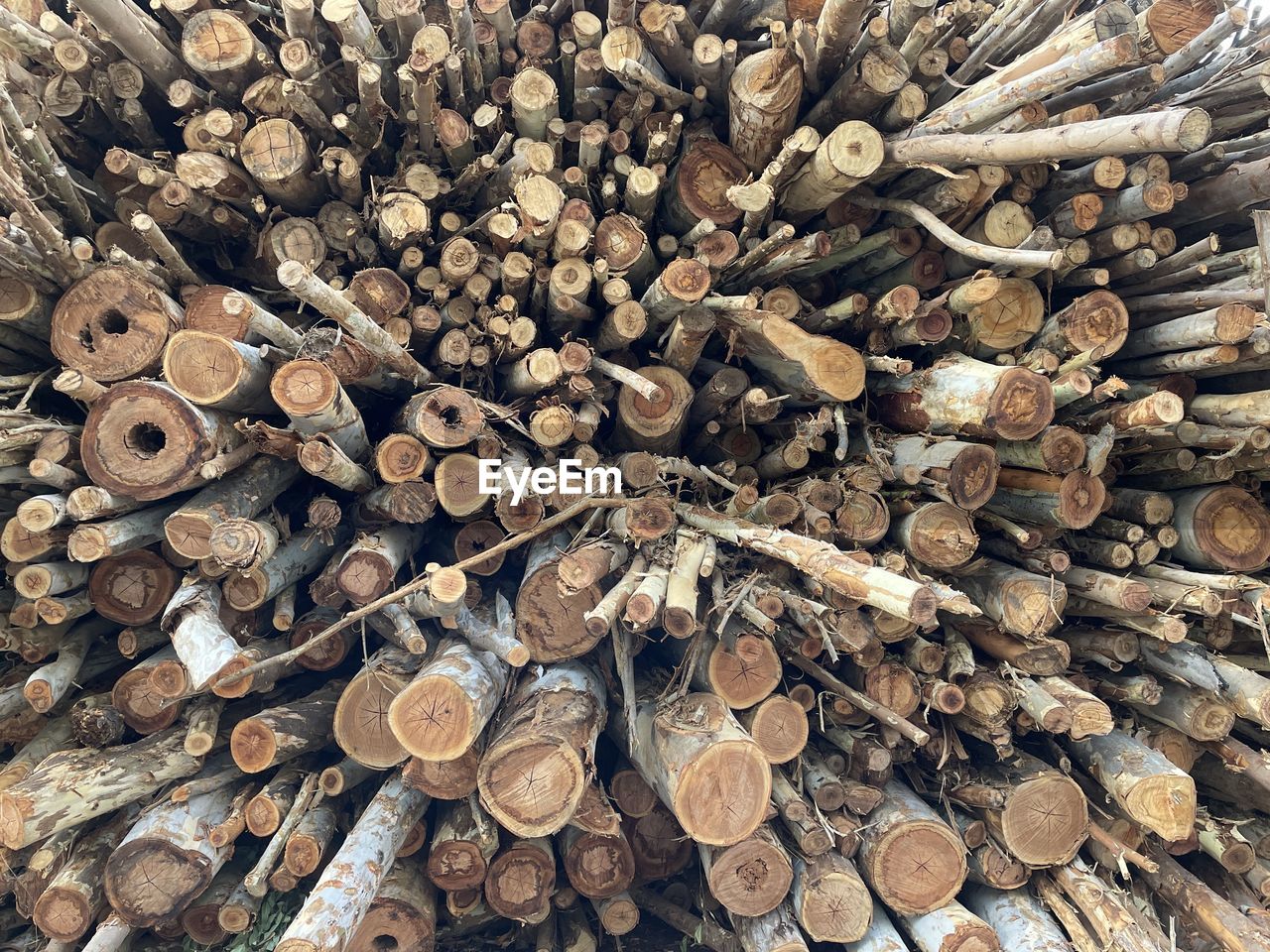 large group of objects, log, abundance, firewood, lumber industry, deforestation, timber, tree, wood, forest, trunk, full frame, backgrounds, environmental issues, logging, power generation, heap, woodpile, environmental damage, branch, fossil fuel, no people, nature, soil, close-up, leaf, day, lumber, pattern, outdoors, textured
