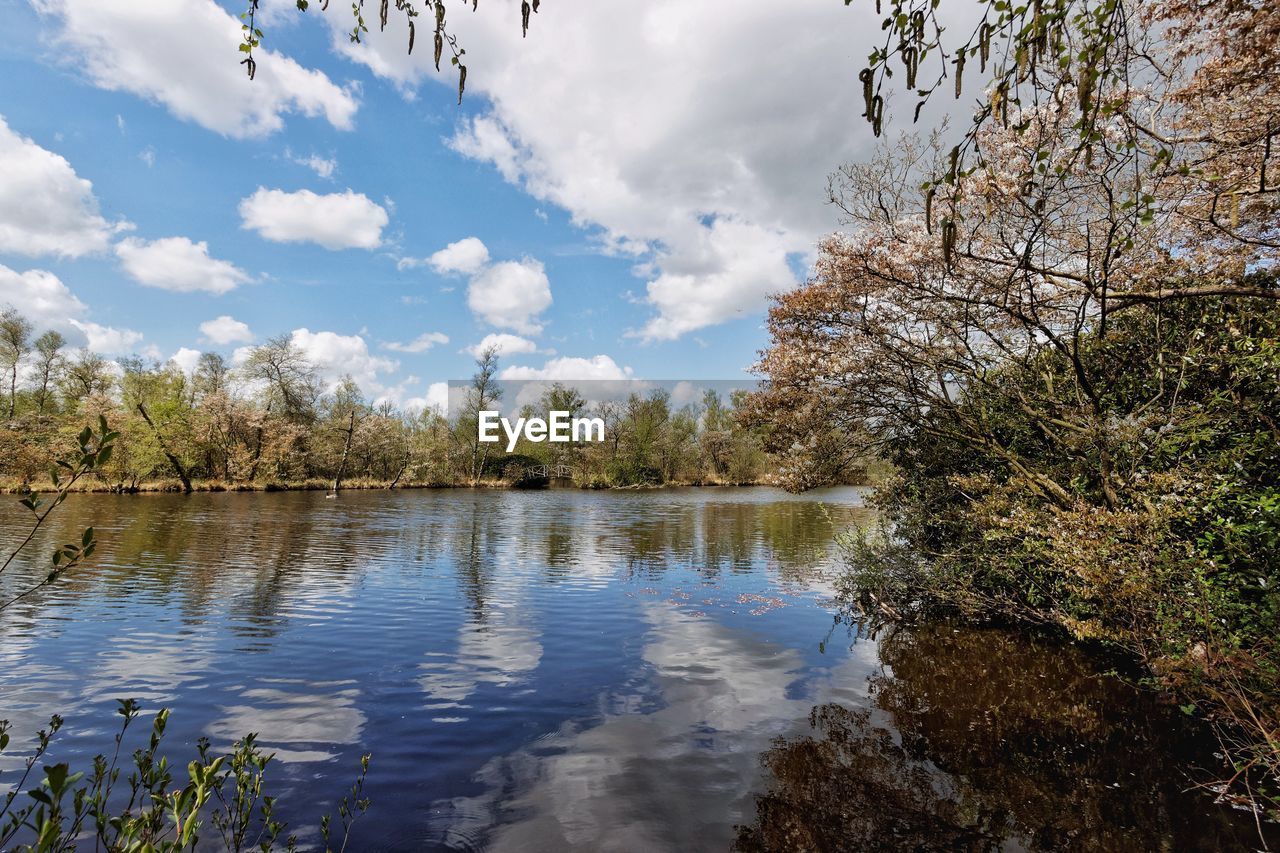 Reflection of trees and clouds on water