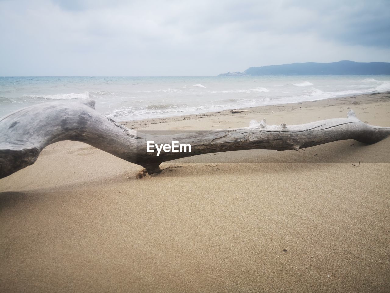 Driftwood on beach against sky