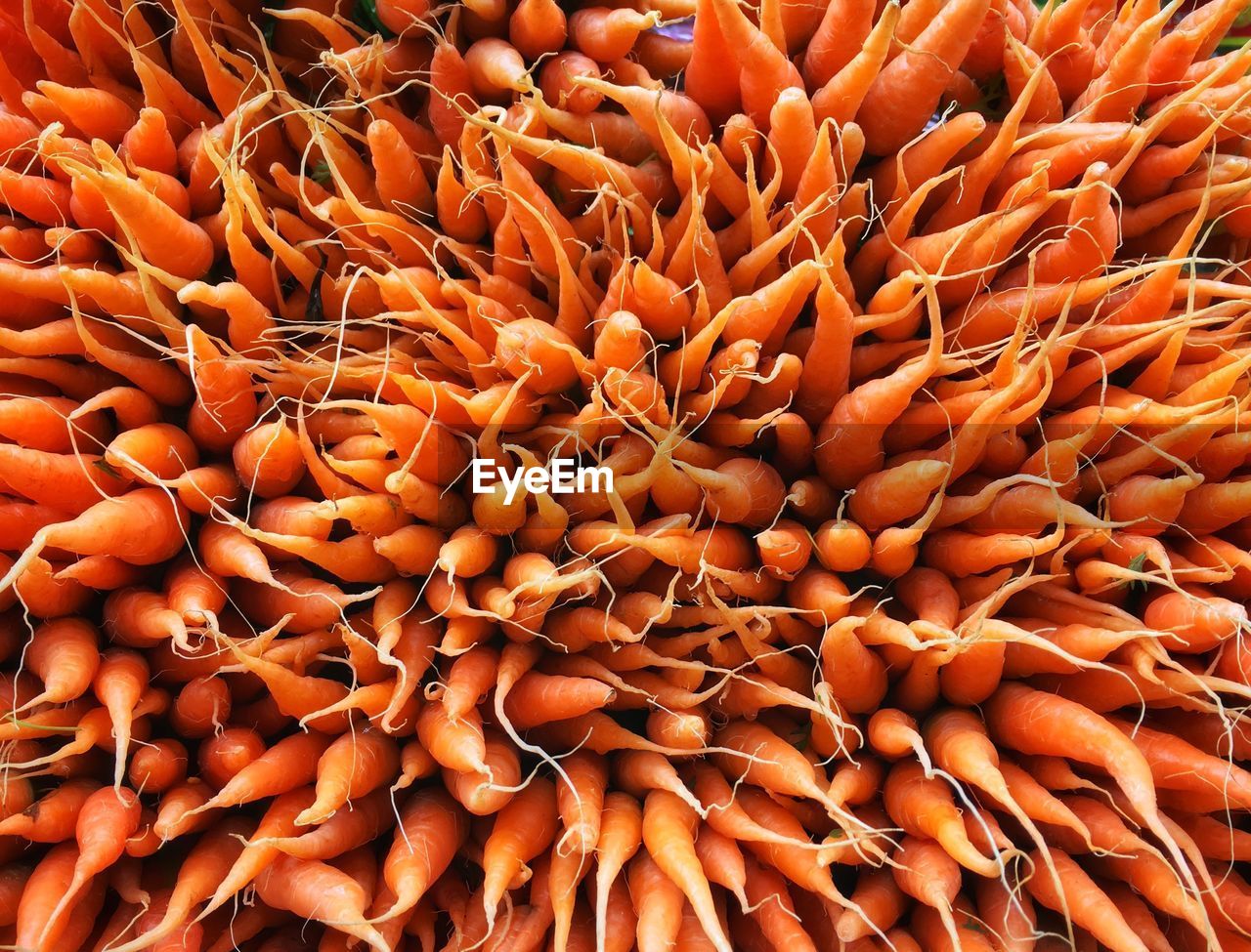 Full frame shot of little carrot for sale at market