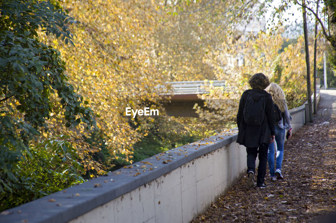 Rear view of friends walking by retaining wall on autumn leaves at park