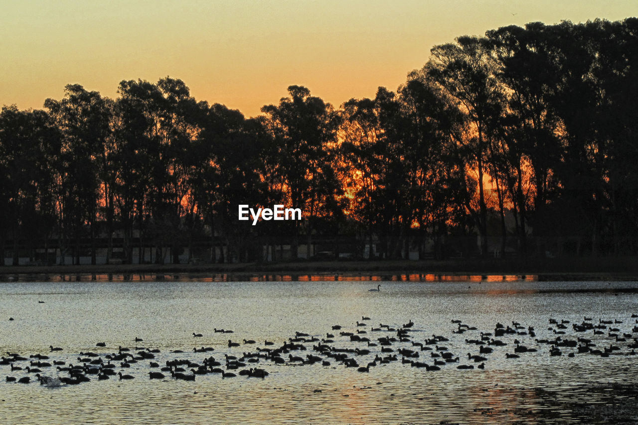 SCENIC VIEW OF LAKE BY TREES AGAINST SKY