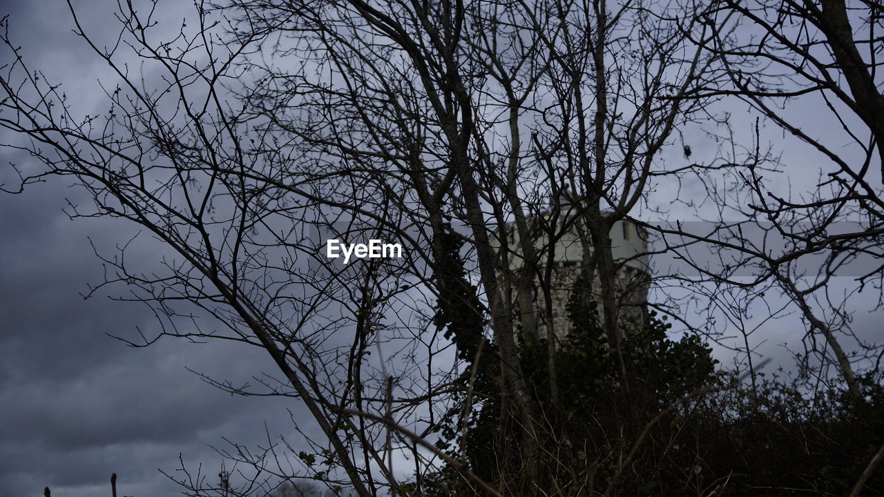 LOW ANGLE VIEW OF BARE TREES AGAINST SKY