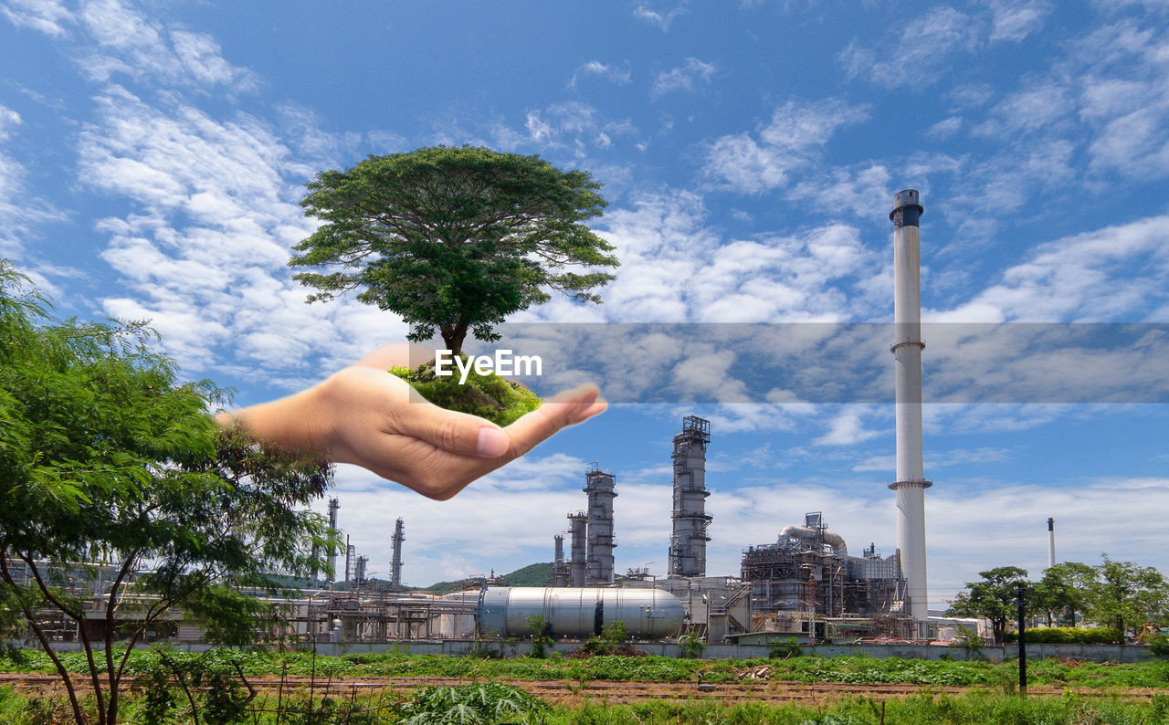 sky, cloud, tree, plant, nature, architecture, built structure, building exterior, one person, hand, flower, environment, outdoors, industry, day, city, factory, blue, adult, business finance and industry, growth, landscape