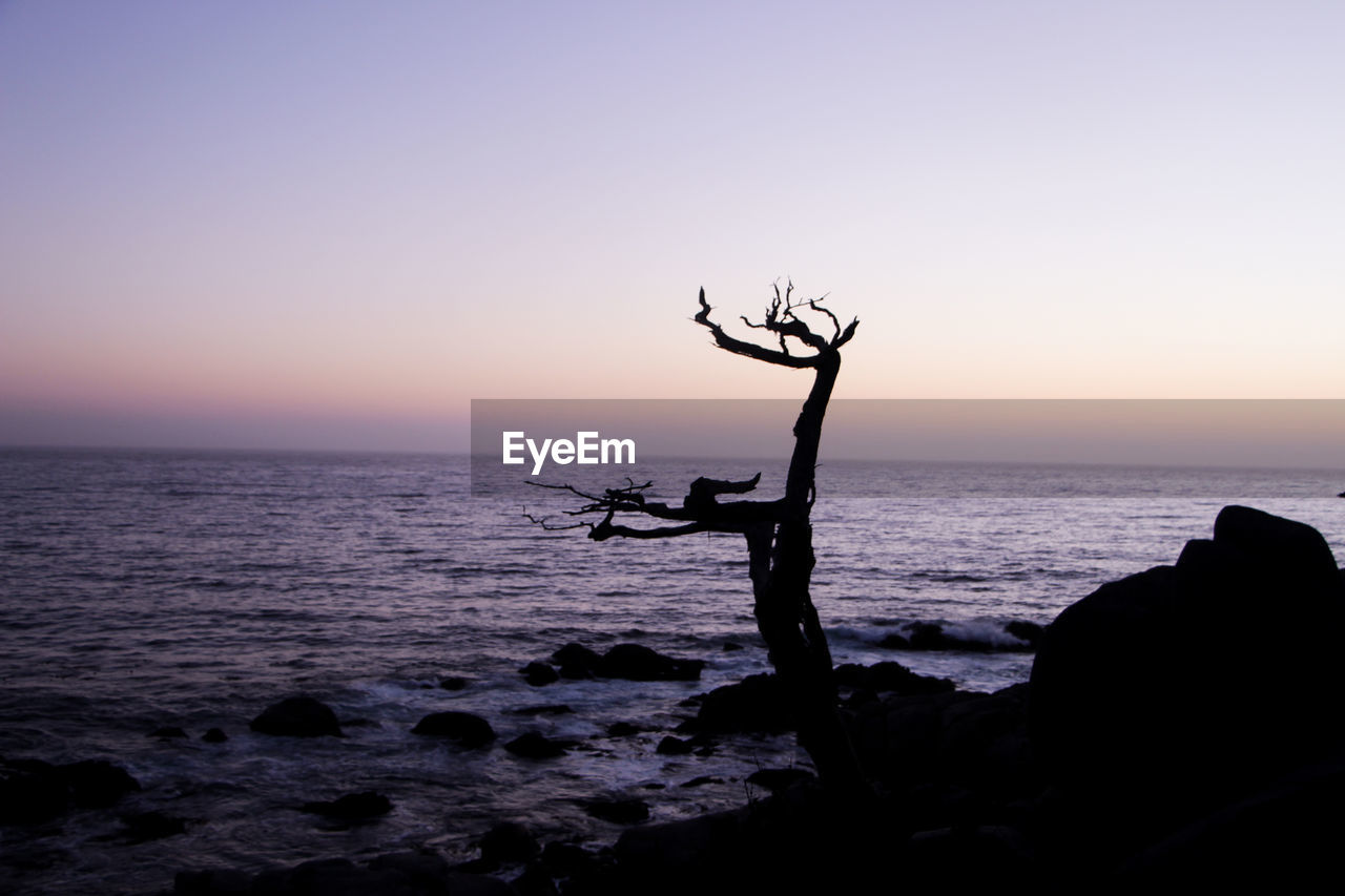 SILHOUETTE ROCKS ON BEACH AGAINST CLEAR SKY