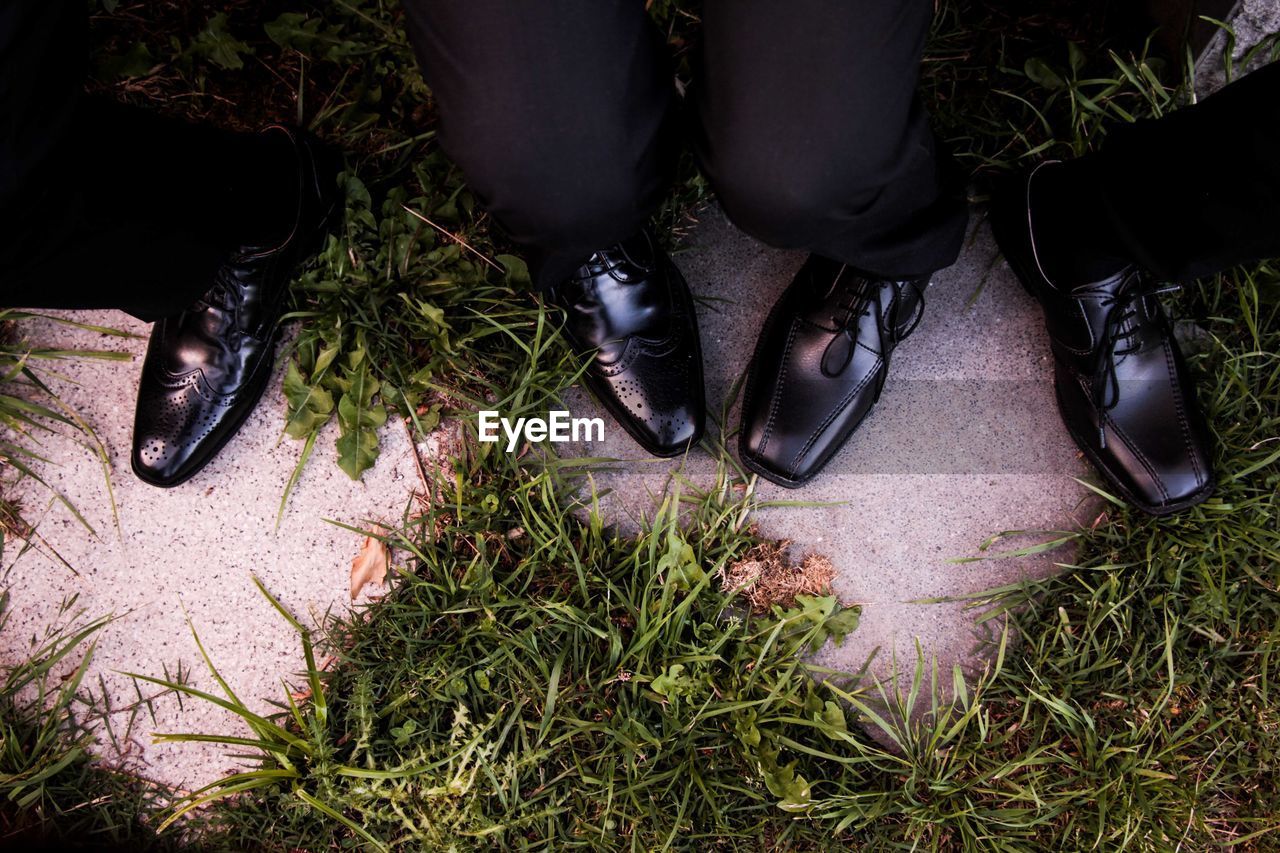 Low section of people standing on grass