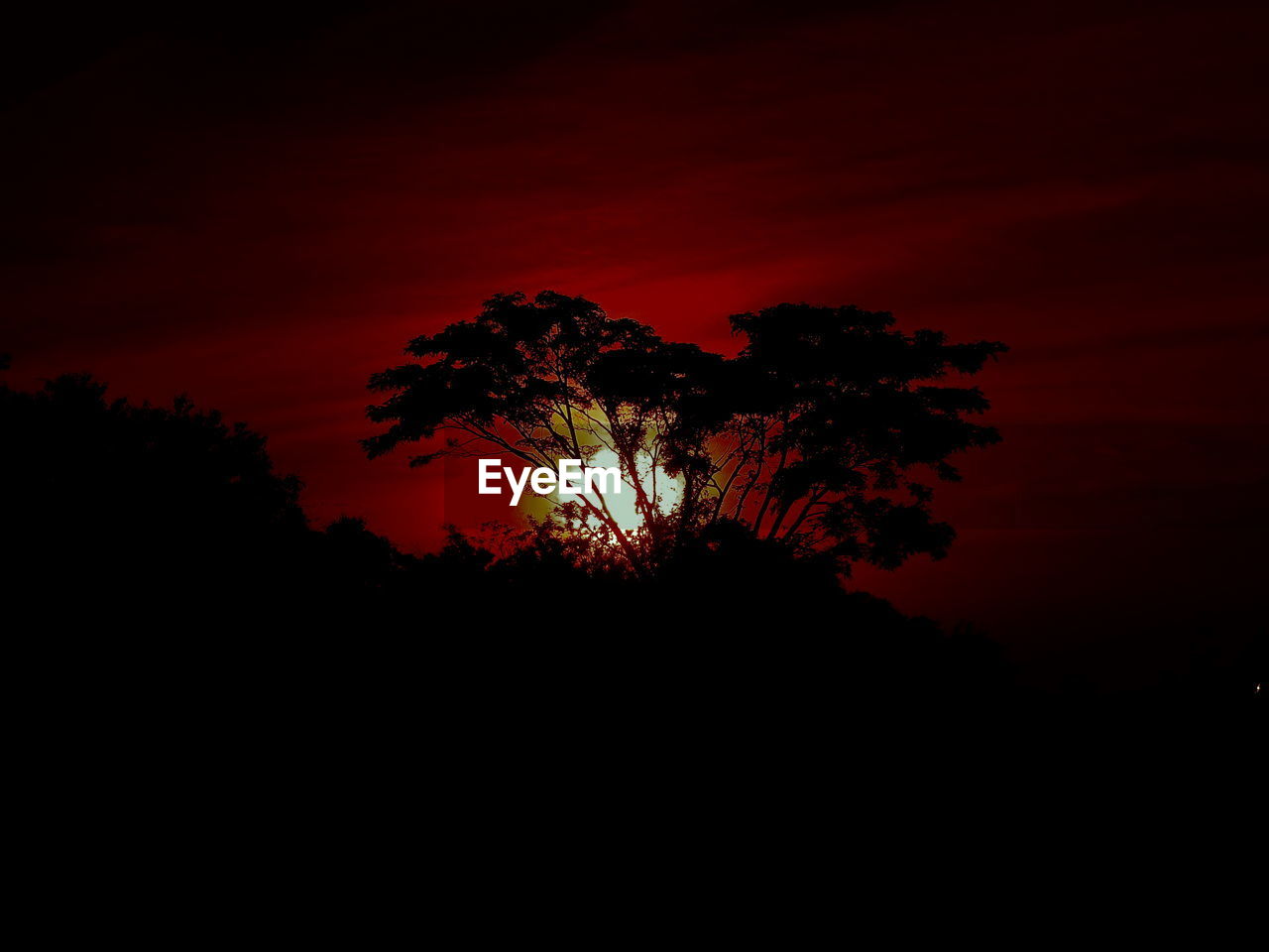 Silhouette trees against sky during sunset