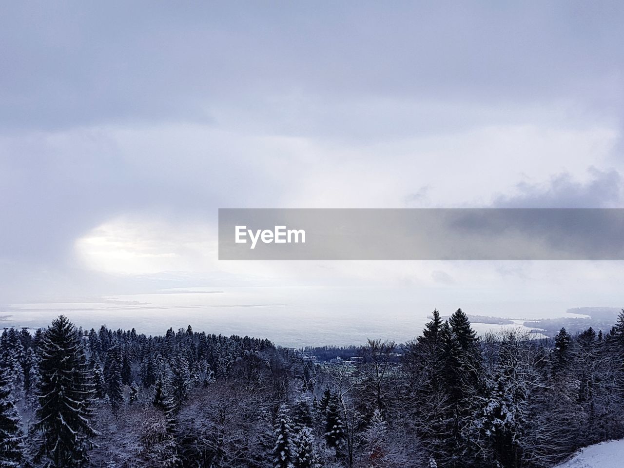 Scenic view of forest against sky during winter