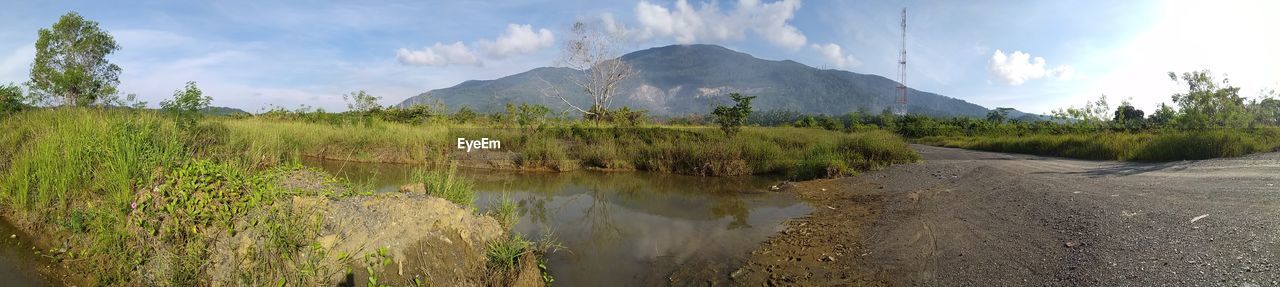 PANORAMIC VIEW OF PLANTS BY LANDSCAPE AGAINST SKY