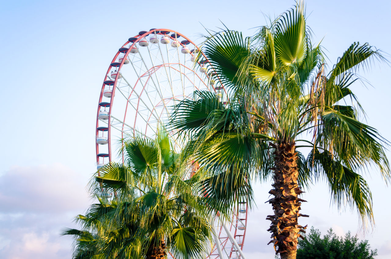 LOW ANGLE VIEW OF FERRIS WHEEL AGAINST CLEAR SKY