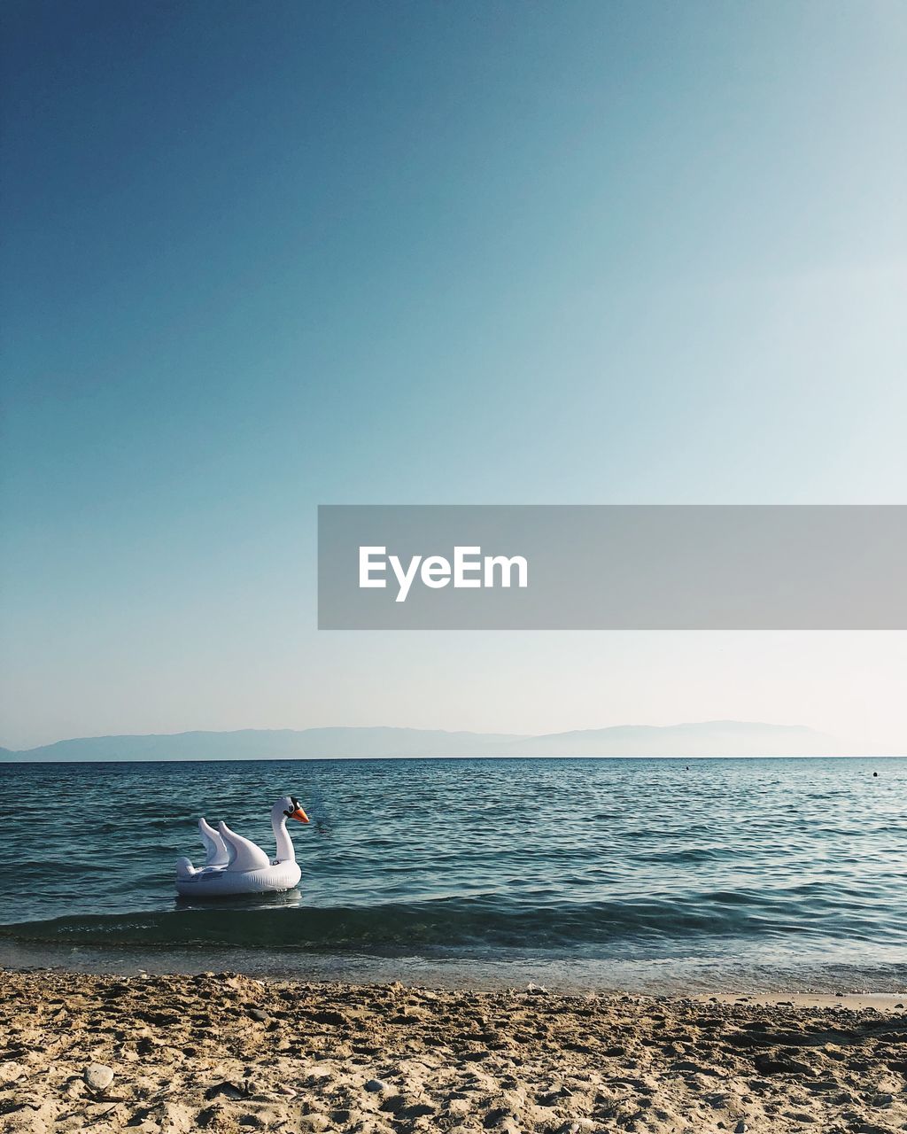 Inflatable swan on sea against clear sky