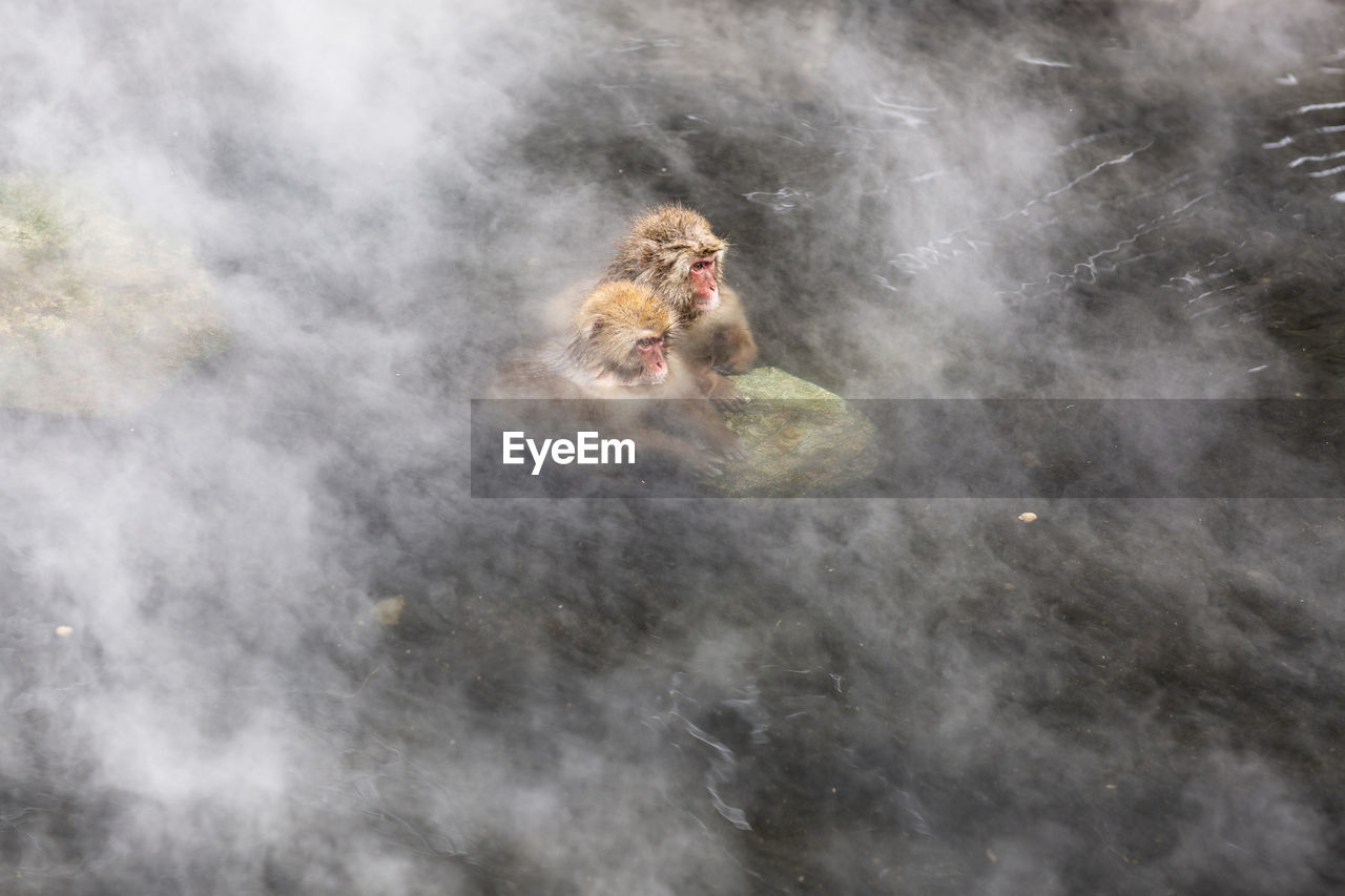 High angle view of people in water