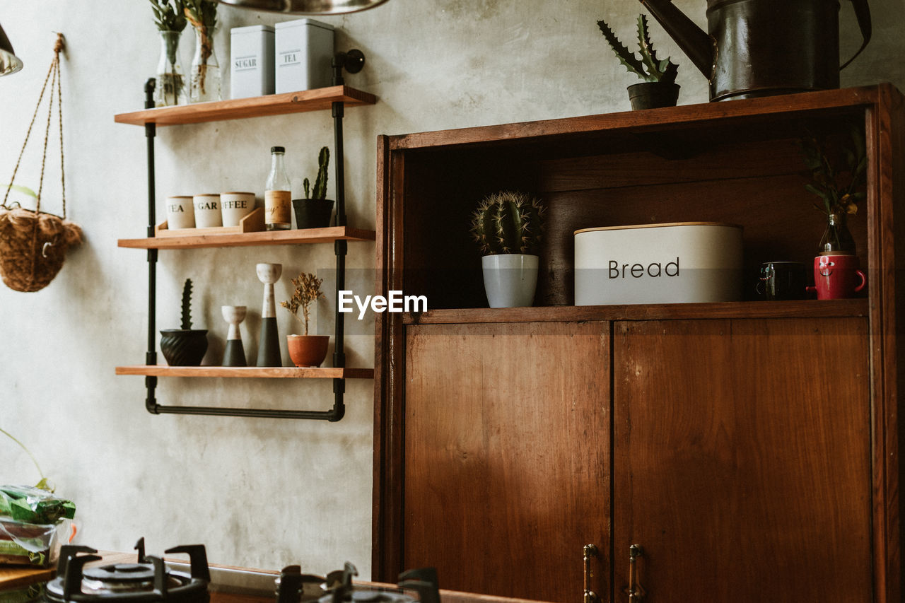 POTTED PLANT IN KITCHEN AT HOME