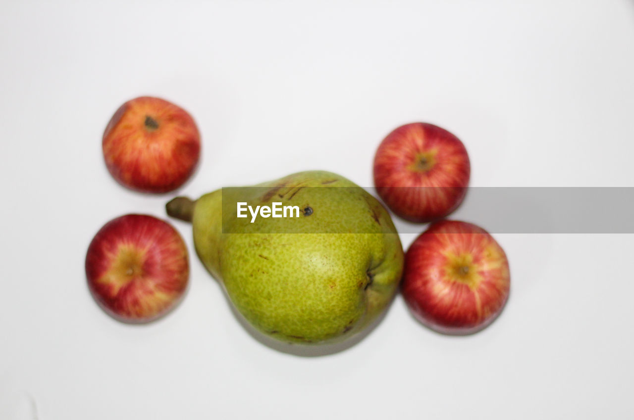 CLOSE-UP OF APPLES IN SPRING