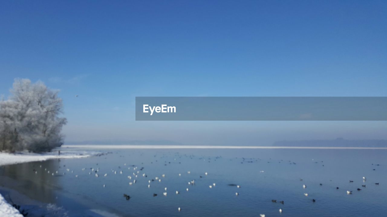 SCENIC VIEW OF FROZEN LAKE AGAINST BLUE SKY