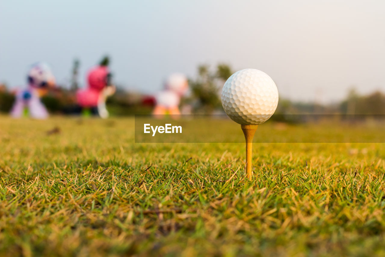 Close-up of golf ball on grass