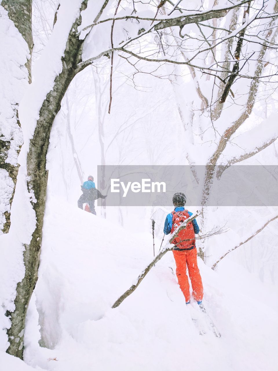 Rear view of man skiing on snow covered tree
