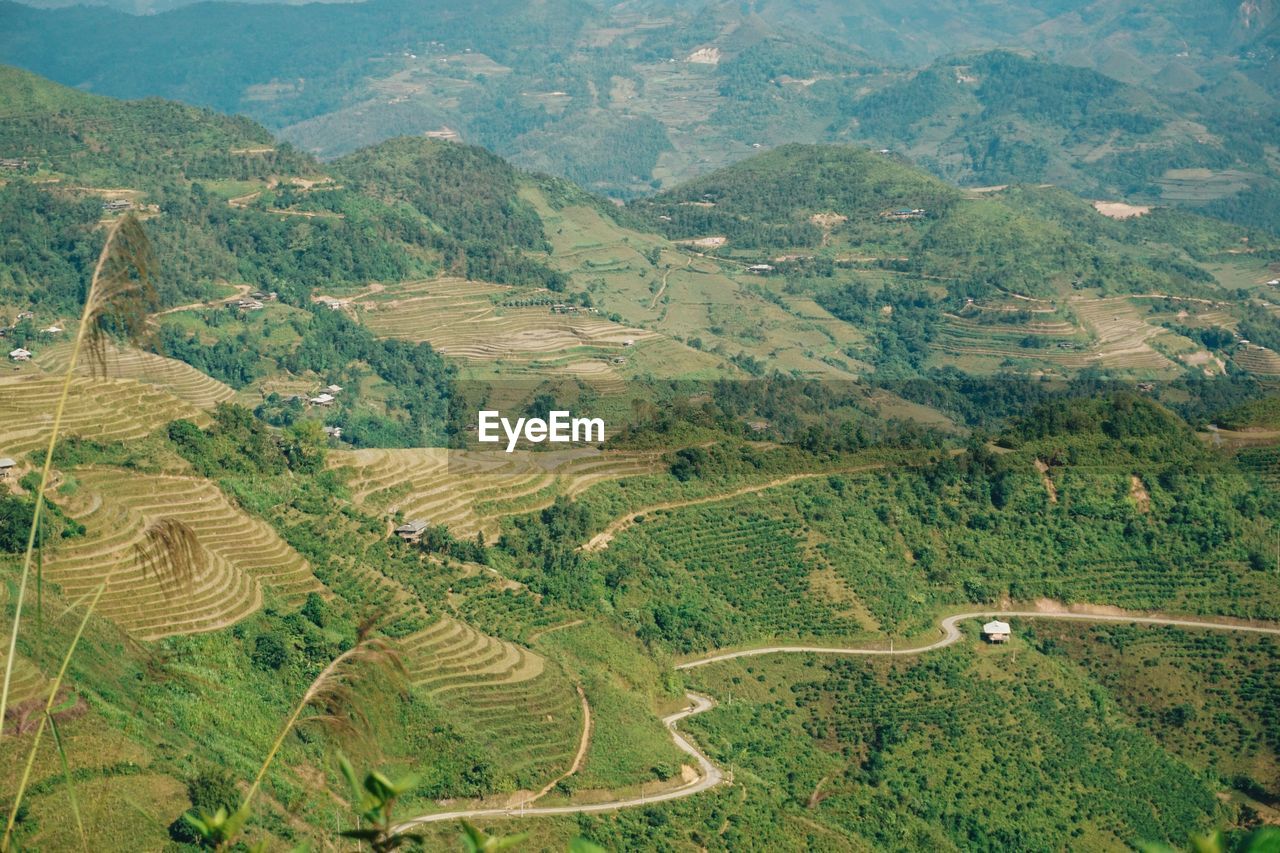 HIGH ANGLE VIEW OF AGRICULTURAL LAND