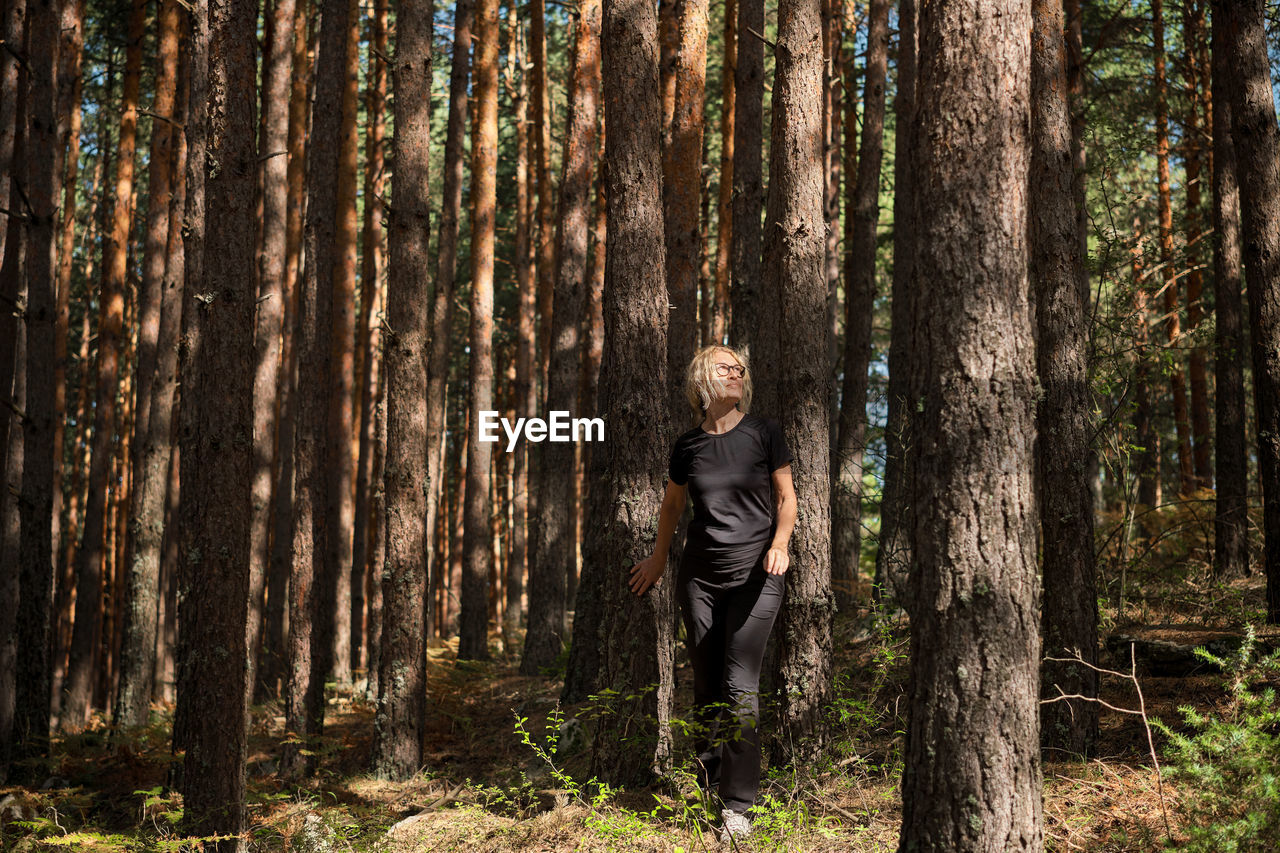 Adult woman walking through a sunny pine forest, forest bathing, background for holiday idea