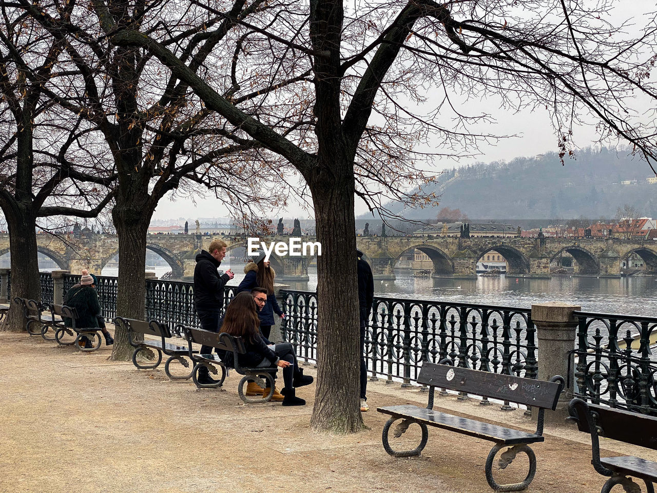 PEOPLE SITTING ON BENCH BY TREES