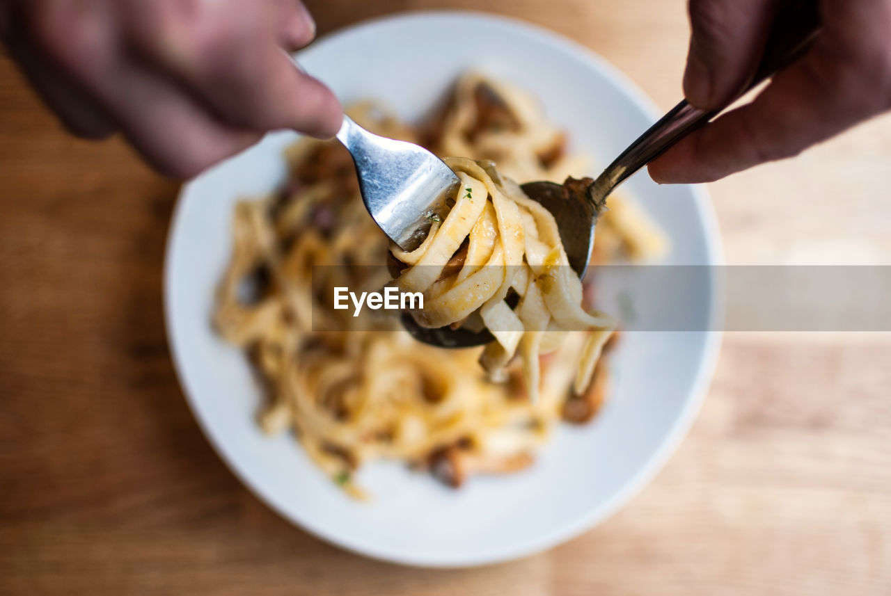 Close-up of person holding pasta in fork