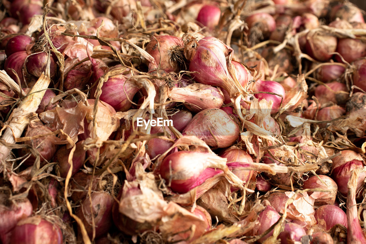 shallot, food and drink, food, vegetable, freshness, produce, onion, plant, abundance, healthy eating, large group of objects, wellbeing, full frame, no people, close-up, backgrounds, red onion, market, root vegetable, still life, day, organic, nature, flower, tuber, dry, raw food, for sale, outdoors, ingredient, pink