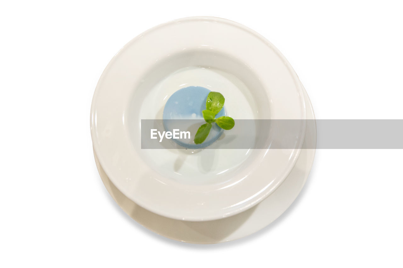 white background, food and drink, cut out, food, white, plate, indoors, dishware, leaf, studio shot, freshness, herb, healthy eating, wellbeing, plant part, no people, tableware, green, plant, platter, nature, close-up, porcelain, bowl, household equipment