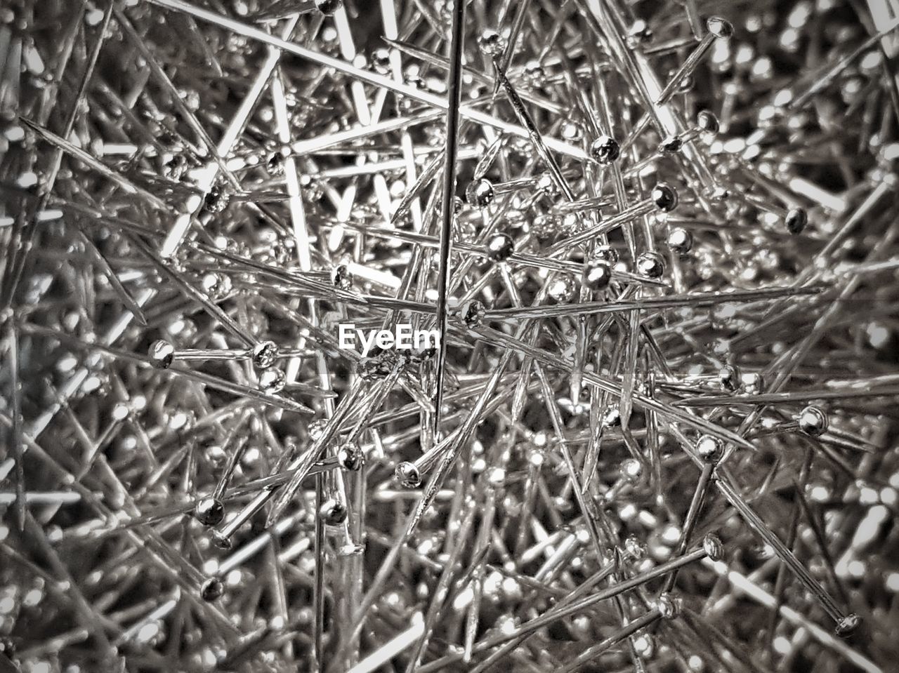 CLOSE-UP OF FROZEN PLANTS