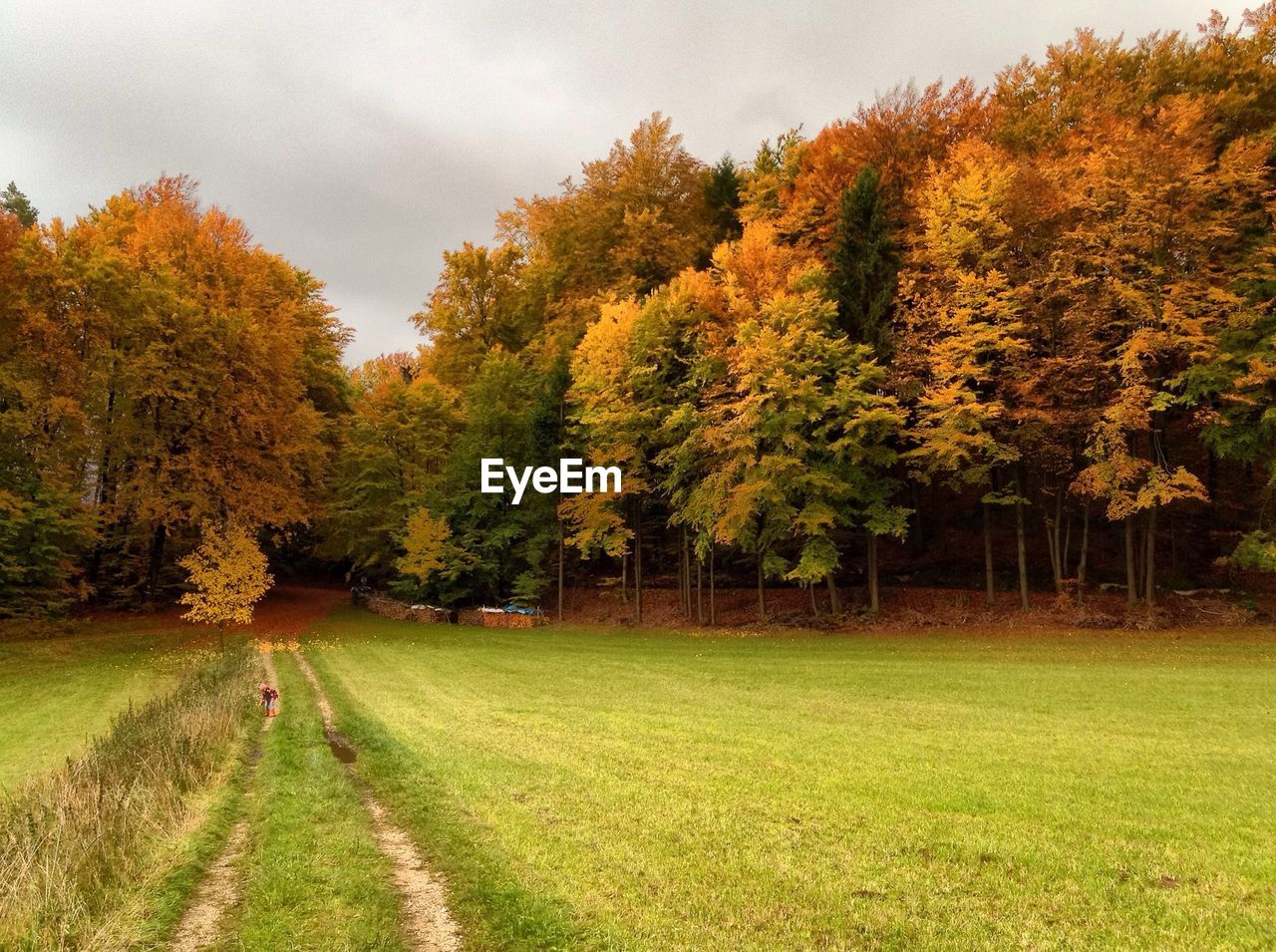 Dirt road in meadow in autumn