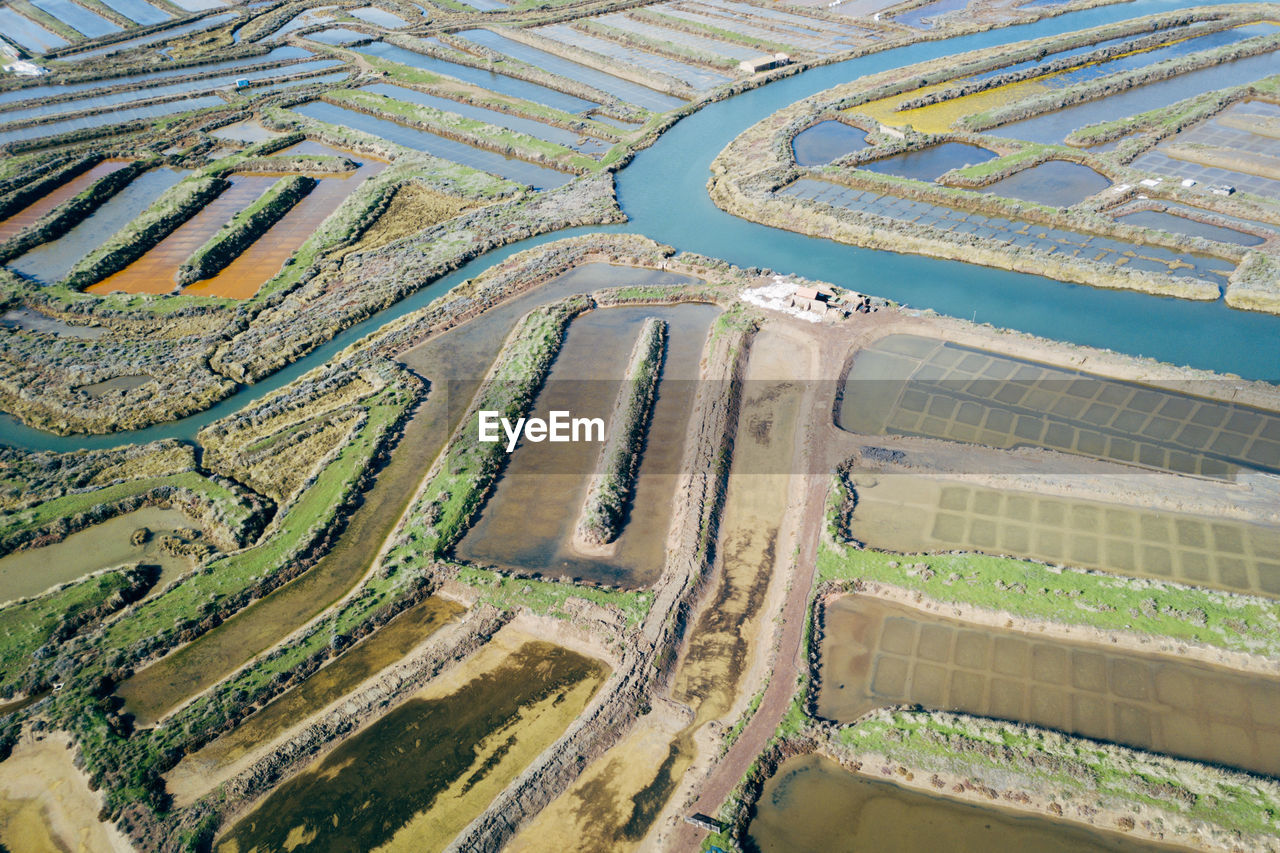 High angle view of agricultural field