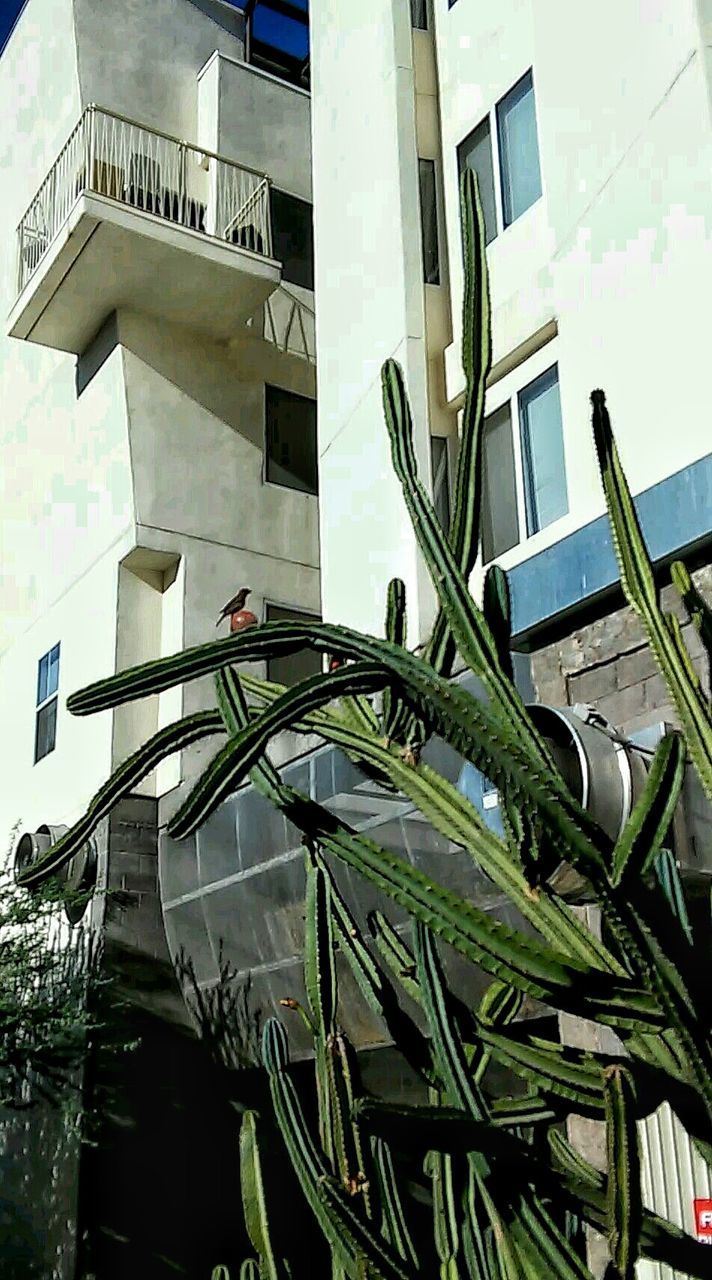 LOW ANGLE VIEW OF MODERN BUILDINGS