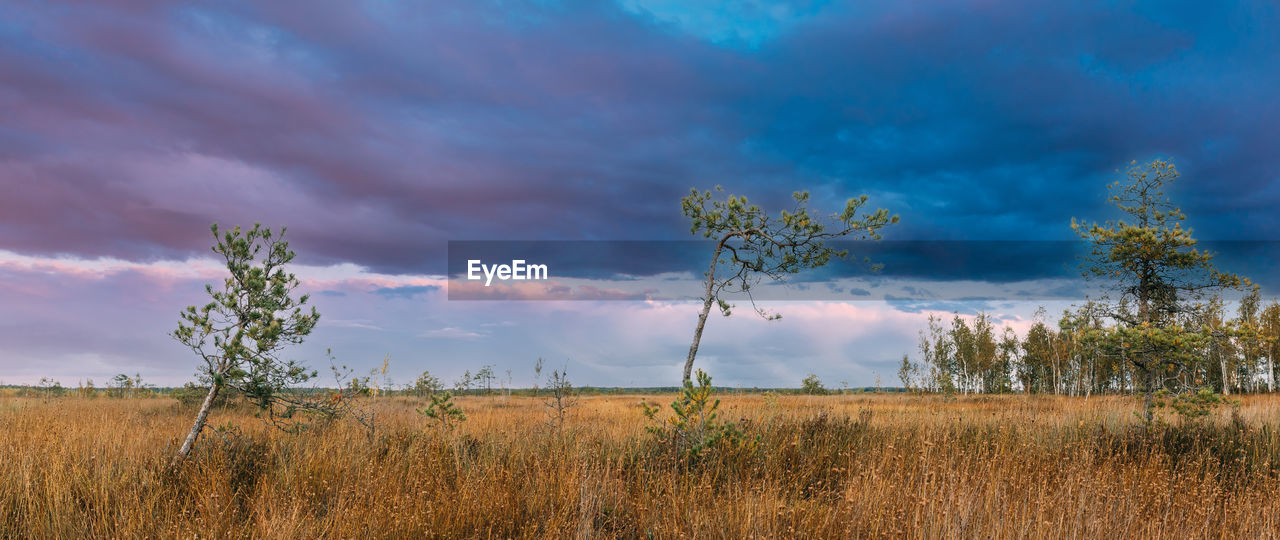 scenic view of field against sky during sunset