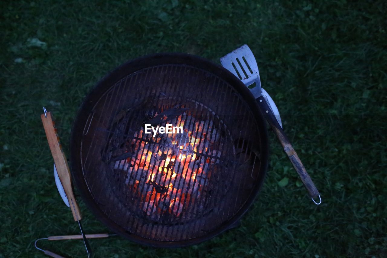 CLOSE-UP OF FOOD ON GRASS