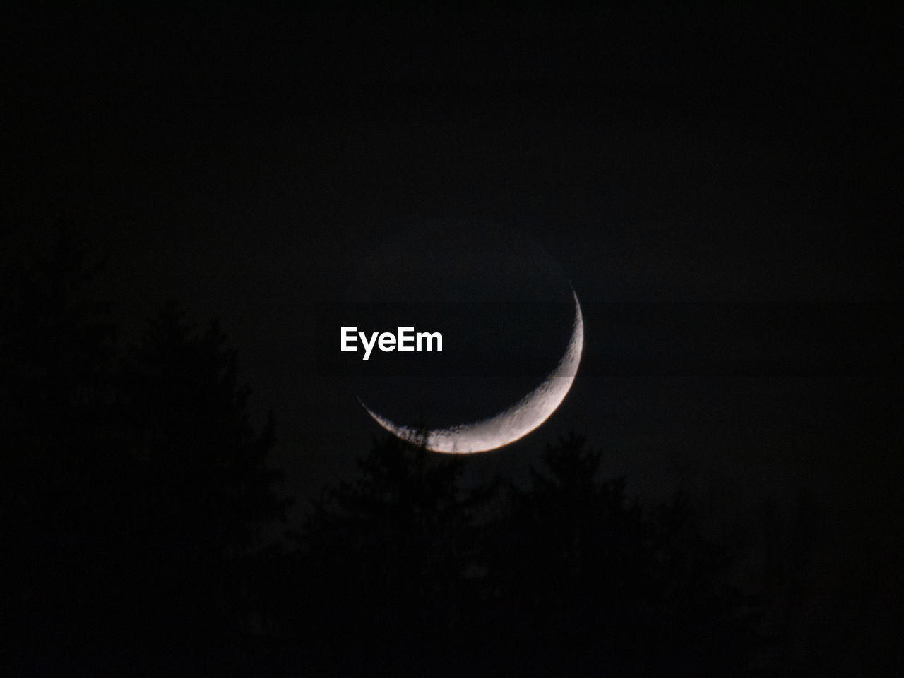 LOW ANGLE VIEW OF MOON IN SKY