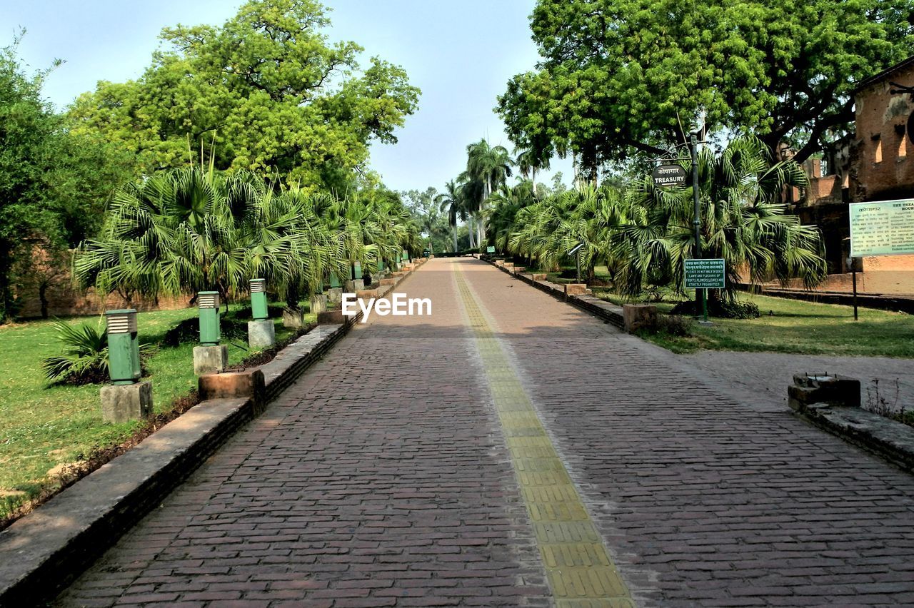 VIEW OF TREES AGAINST SKY