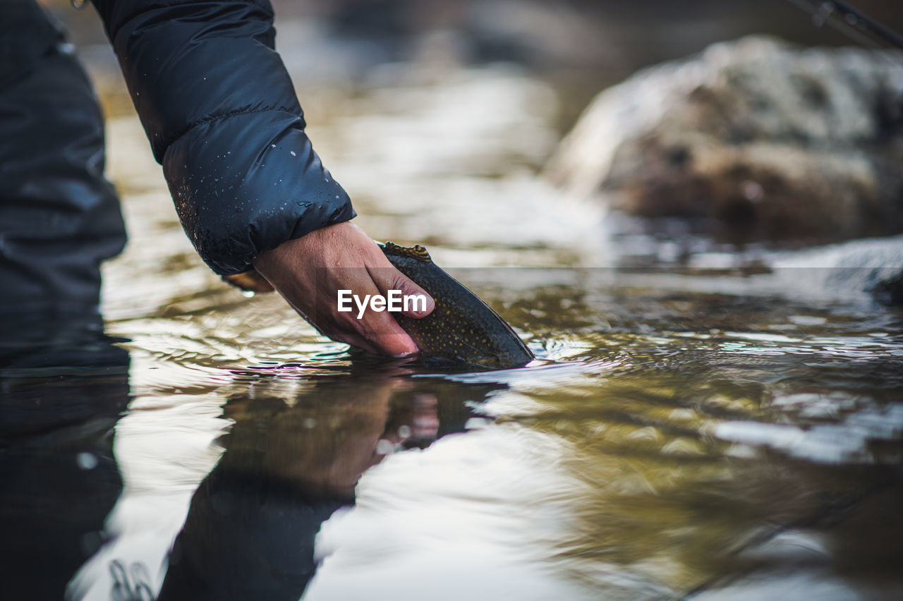 A man releases a trout during a cold morning on a maine river