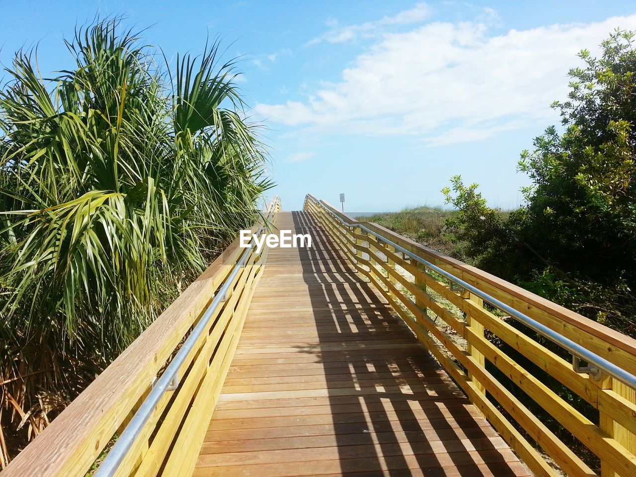 Boardwalk amidst trees against sky on sunny day