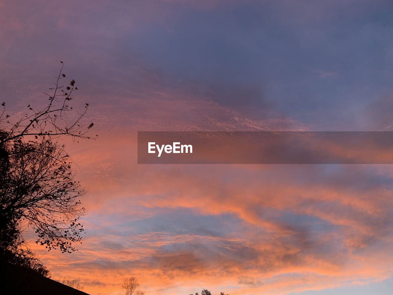 LOW ANGLE VIEW OF DRAMATIC SKY OVER SILHOUETTE TREES