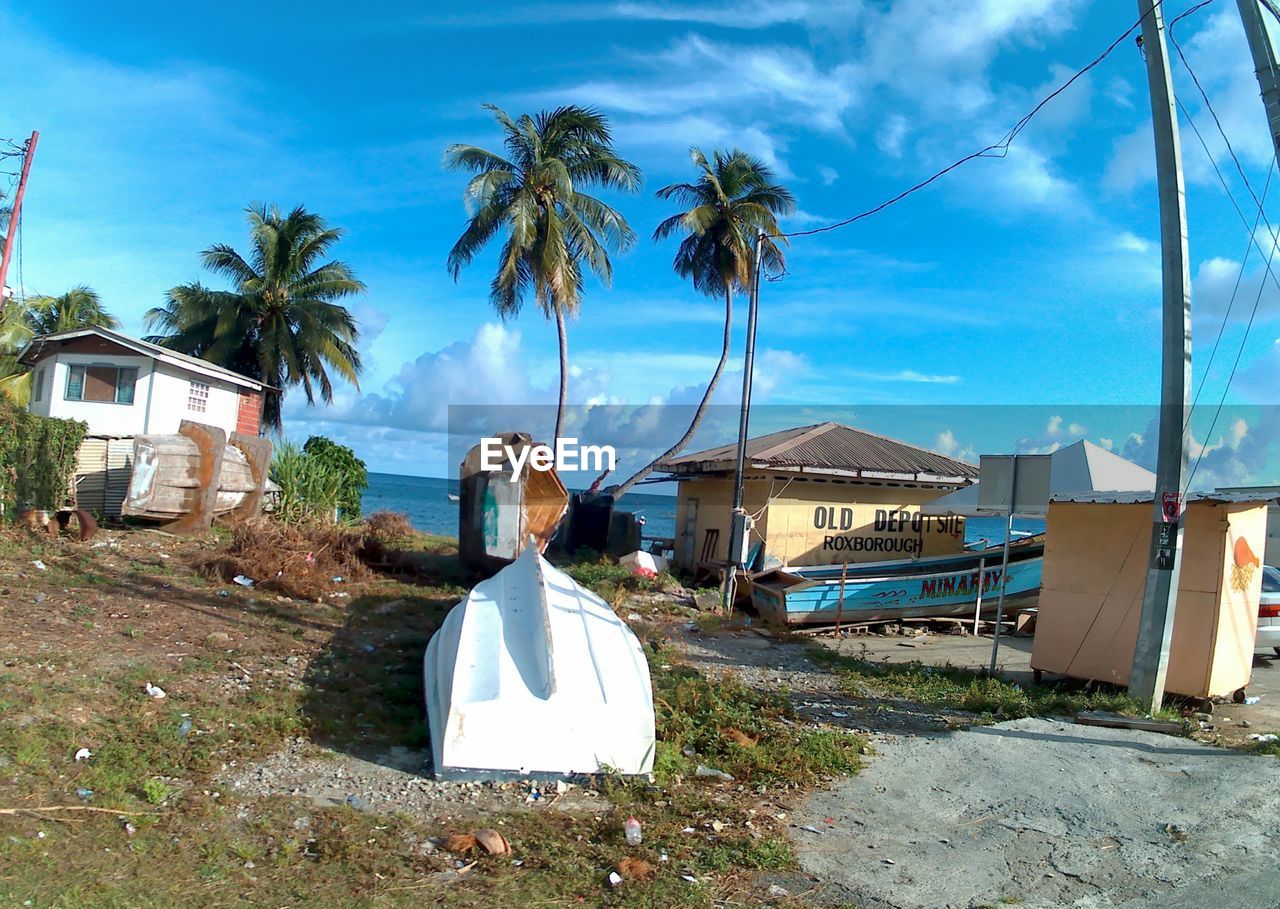 PALM TREES WITH BUILDINGS IN BACKGROUND