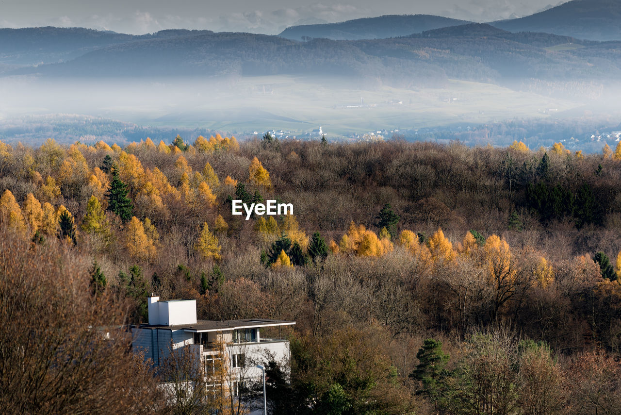 Trees on landscape against sky