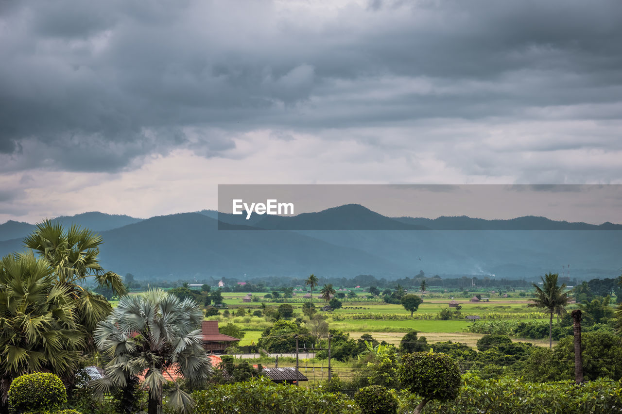 SCENIC VIEW OF FARM AGAINST SKY