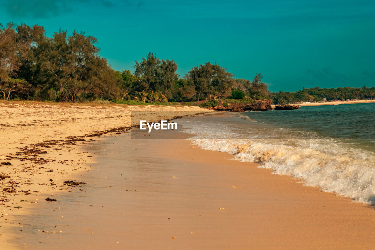 water, land, sea, beach, shore, body of water, sand, tree, sky, nature, scenics - nature, beauty in nature, plant, ocean, coast, tranquility, wave, environment, horizon, tranquil scene, no people, travel destinations, coastline, travel, outdoors, landscape, tropical climate, tourism, bay, sports, water's edge, idyllic, island, vacation, motion, trip, tropics, day, holiday, non-urban scene, palm tree