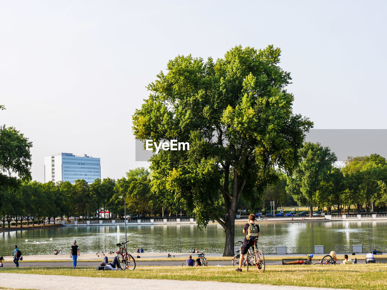 People relaxing in park by lake against clear sky