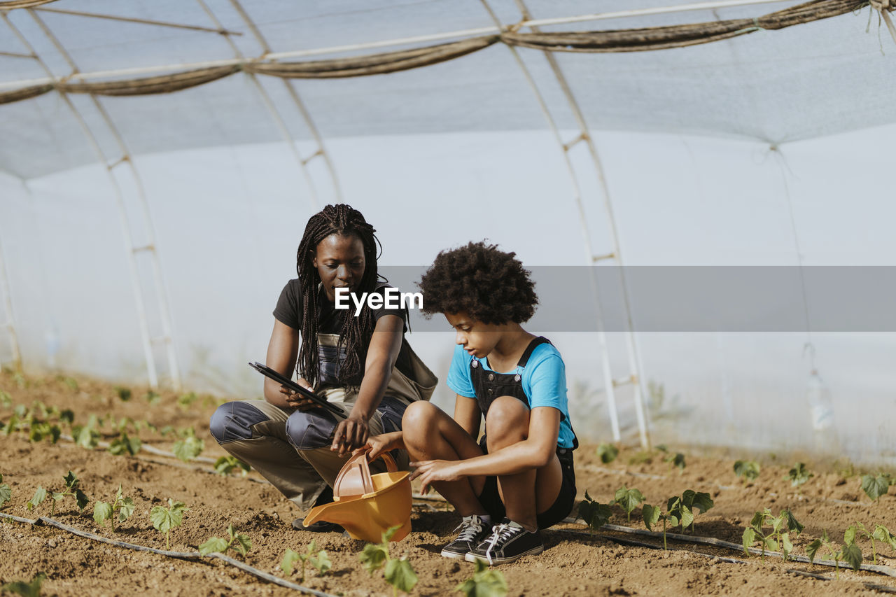 Female farmer teaching gardening to afro girl while crouching at greenhouse