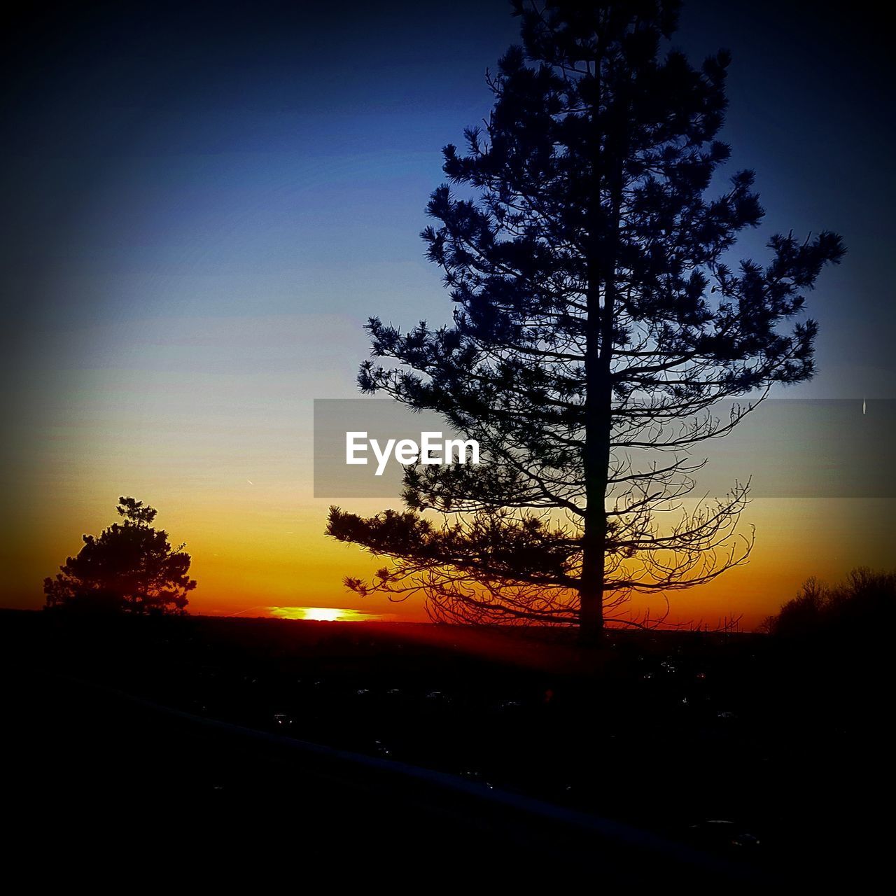 SILHOUETTE TREE ON LANDSCAPE AGAINST SKY DURING SUNSET